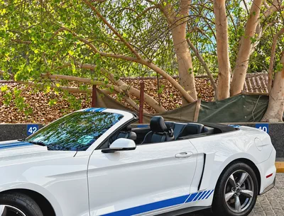 2017 Ford Mustang EcoBoost Premium Convertible-7