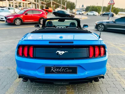 2022 Ford Mustang Ecoboost Convertible - # 15528-4