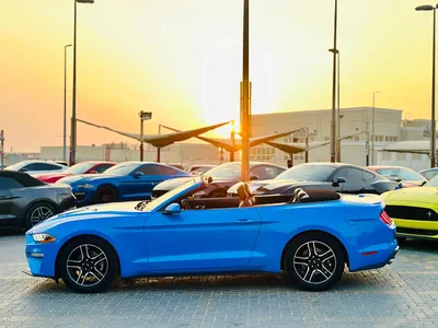 2022 Ford Mustang Ecoboost Convertible - # 15528-1