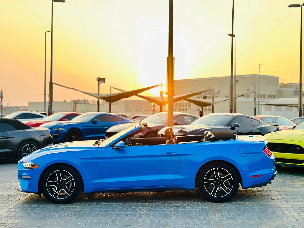 2022 Ford Mustang Ecoboost Convertible - # 15528-1-1