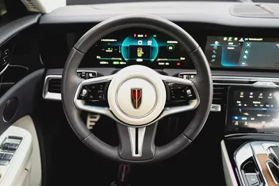Hongqi E-HS9 Deluxe 2022 Agency Warranty Full Service History GCC-18