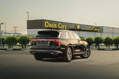 Hongqi E-HS9 Deluxe 2022 Agency Warranty Full Service History GCC-2