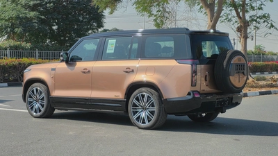 ROX ADAMAS (Gold Purple)-24