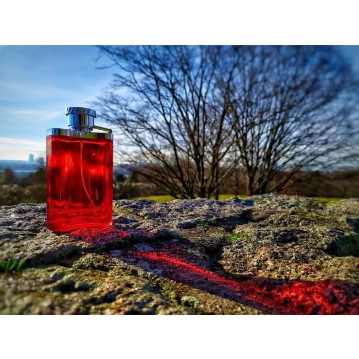 Dunhill Desire EDT 100ml-6-6