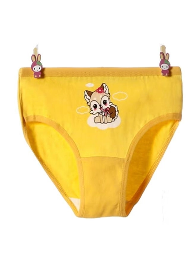 Babyqlo 4 Pack Squirrel Printed Panty Multicolour-4