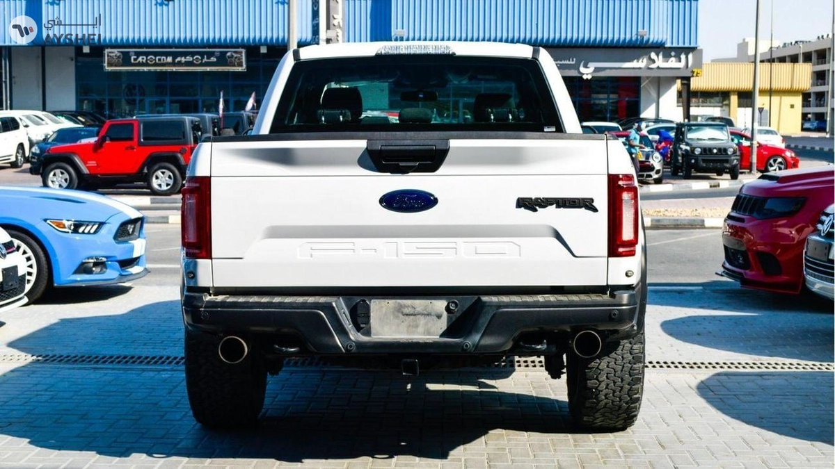 Ford F 150 Raptor-12-12