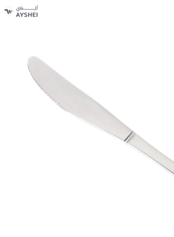 DELCASA 6-Pieces Stainless Steel Table Knife- DC2866 Dishwasher safe