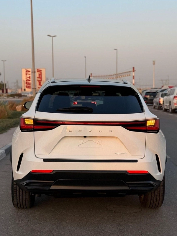 Lexus NX 250 Lexus NX 250 premium 2025