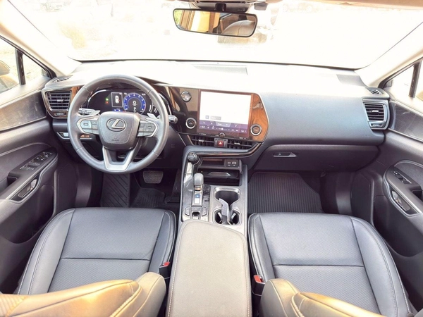 Lexus NX 250 Lexus NX 250 premium 2025