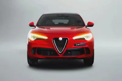 AED 2,657 / 60 months | 0% DP | 2019 Alfa Romeo Stelvio Quadrifoglio-2