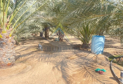 FARM FOR SALE IN AL AJBAN-1