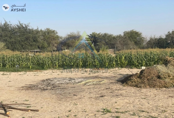 FARM FOR SALE IN AL AJBAN
