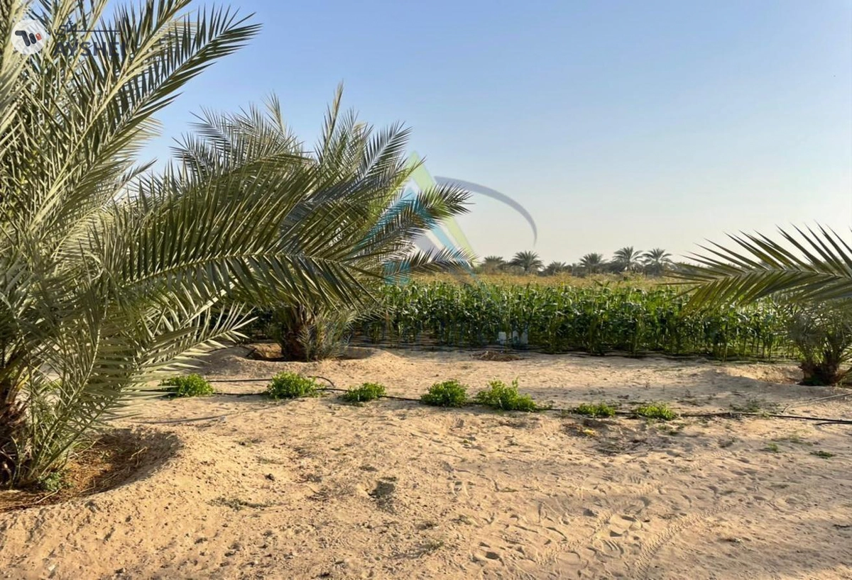 FARM FOR SALE IN AL AJBAN-3-3