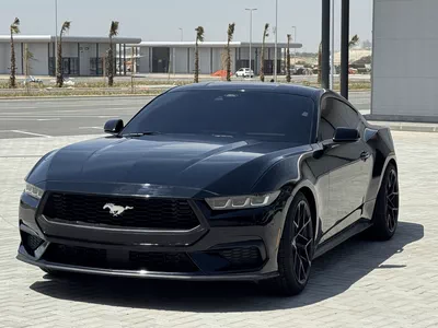Ford Mustang STANDARD-1