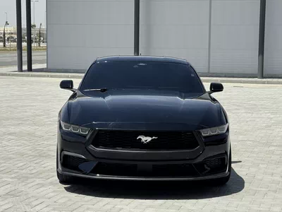 Ford Mustang STANDARD-2