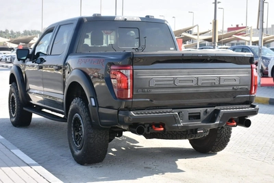 RAPTOR 4WD 2024 | BLACK-10