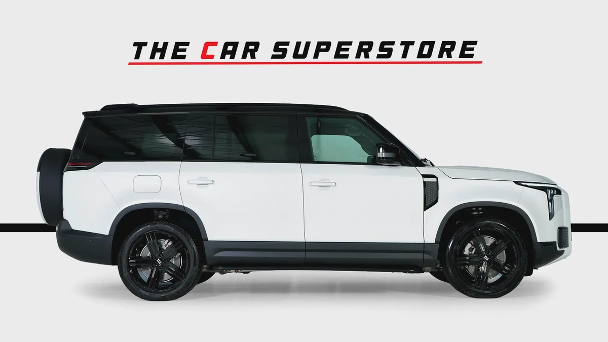 ROX01-VIP-6 Seats-Premium Leather Interior-Luxury-5 Years Warranty  Service Contract-8-8