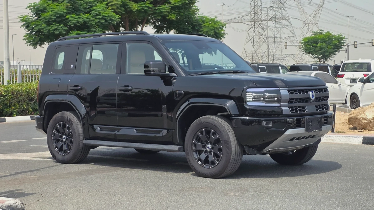 DENZA B5 Deluxe (Black Beige)