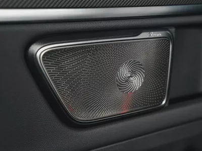 Dealer WARRANTY | VIP CAPTAIN SEATS | V300 AMG |-19