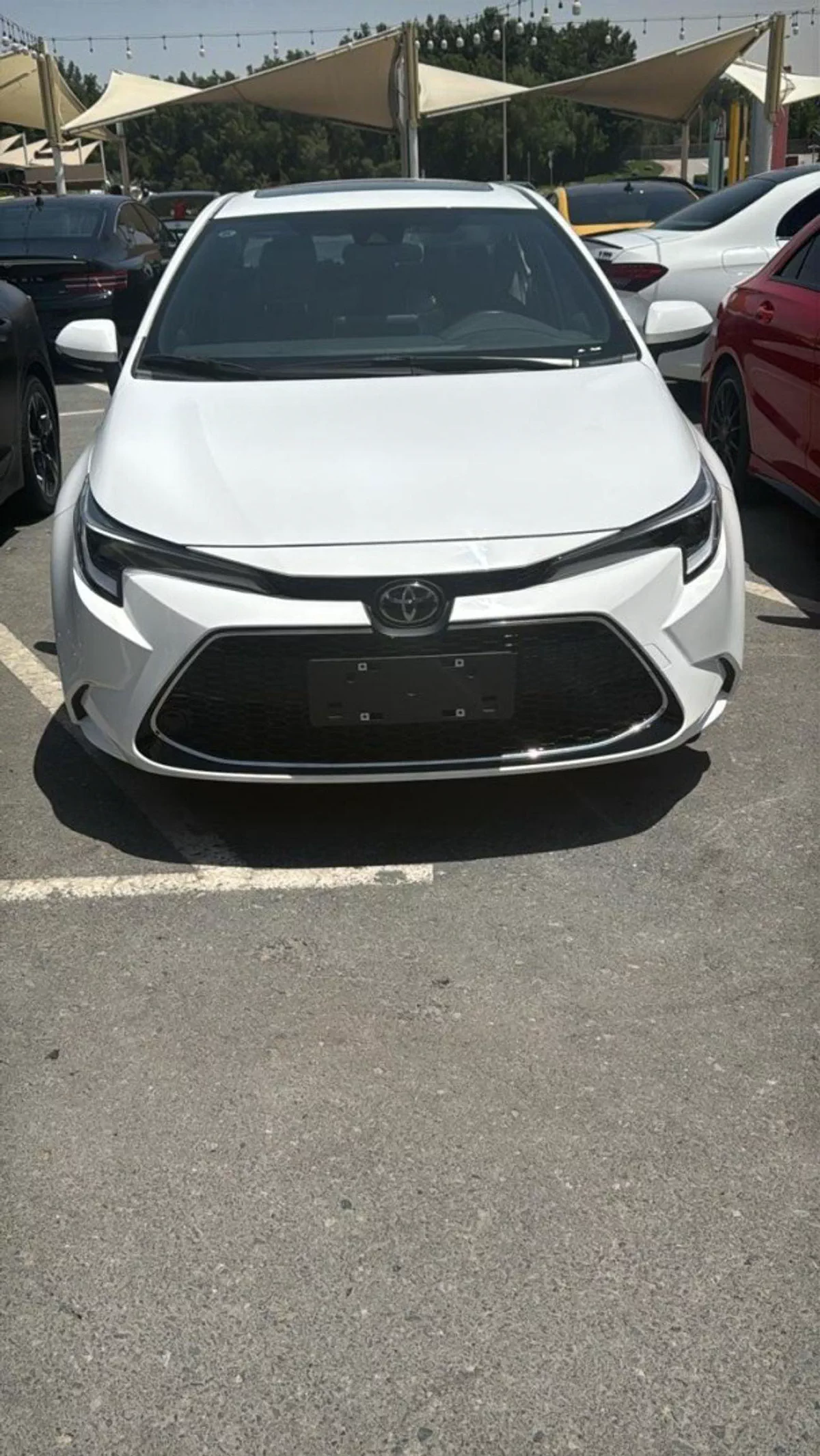 Toyota Corolla ALTIS (NON GCC) NEW Toyota Corolla 1.2L Hybrid 2024 0km-6-0