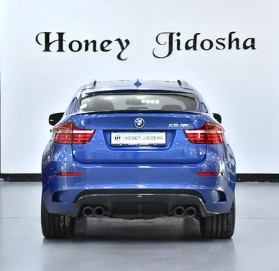 BMW X6 M ( 2013 Model ) in Blue Color GC...-10