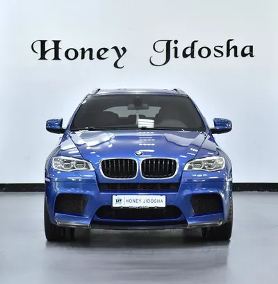 BMW X6 M ( 2013 Model ) in Blue Color GC...-0
