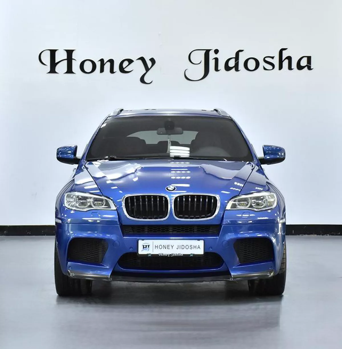 BMW X6 M ( 2013 Model ) in Blue Color GC...