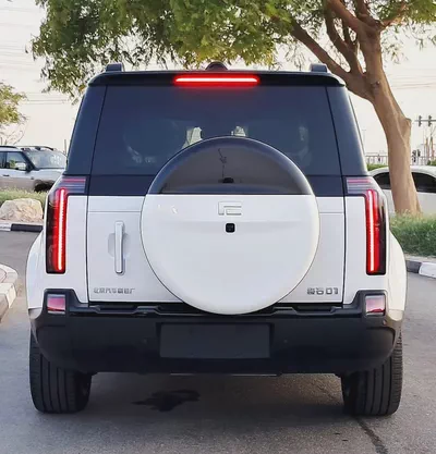 Rox 01 2026 VIP 6 Seater-9