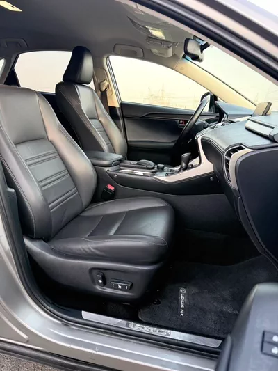 Lexus NX200t STANDARD-13