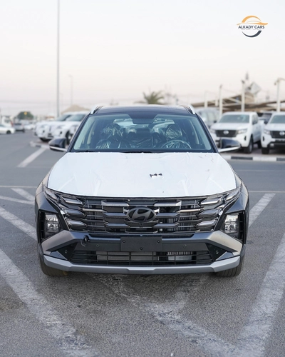 Hyundai Tucson Signature-0