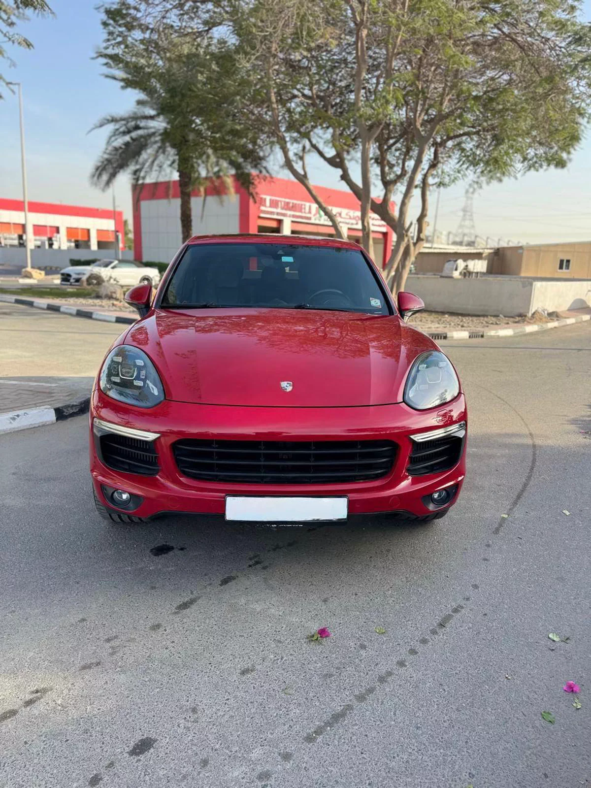 Porsche Cayenne S 2015-15-15