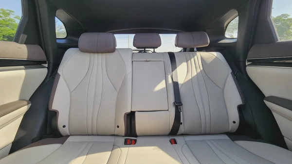 BYD Song Plus Champion (White Brown)
