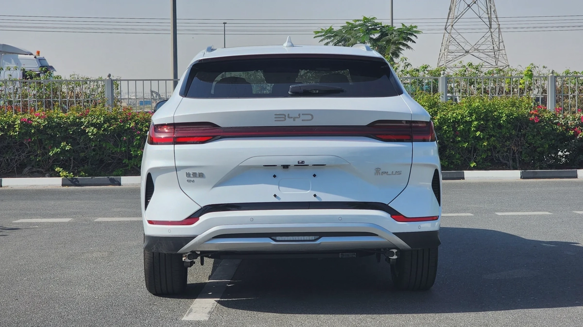 BYD Song Plus Champion (White Brown)-12-12
