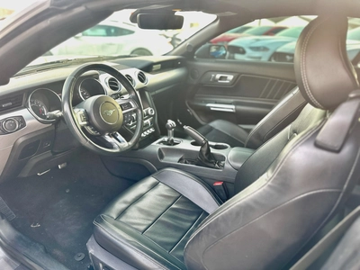 2021 Ford Mustang Ecoboost Convertible-4