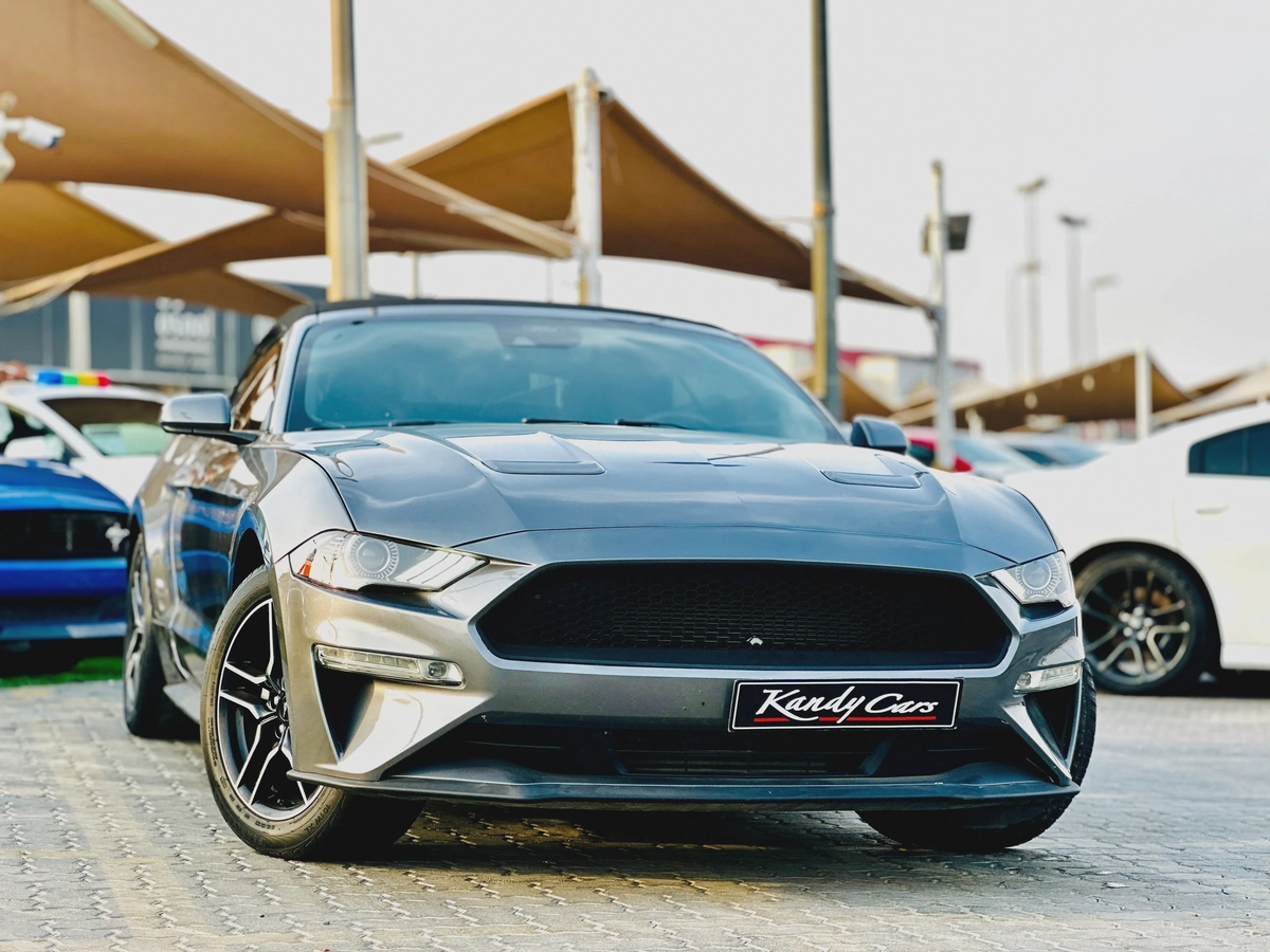 2021 Ford Mustang Ecoboost Convertible-11-11