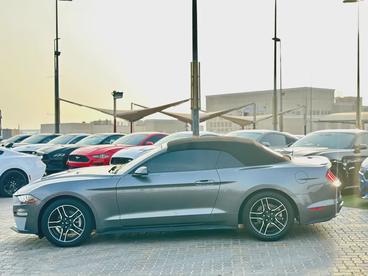 2021 Ford Mustang Ecoboost Convertible-9-9