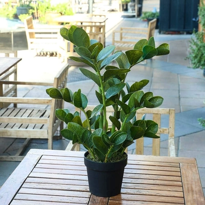 Yatai Decor Nearly Natural Artificial Zamioculcas Plant With Plastic Pot-4
