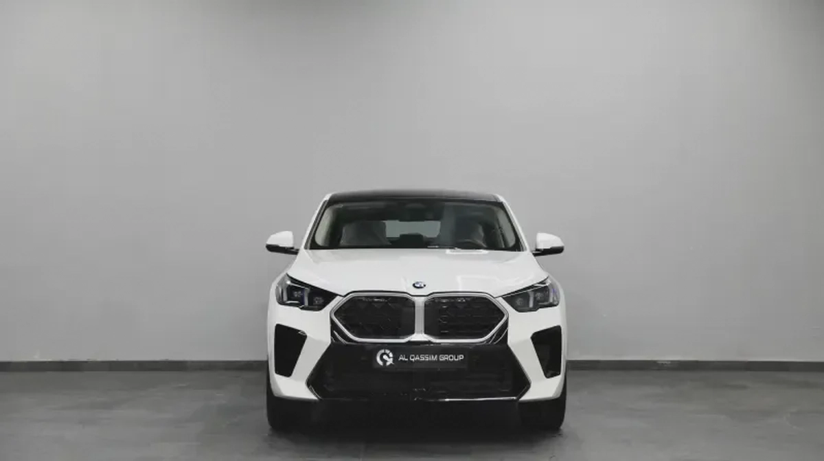 BMW X2-9-9