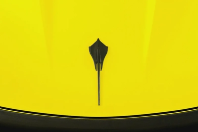 7,279 AED / 60 months | 0% DP | 2022 Corvette Stingray C8 LT3 / Corvette Warranty-14