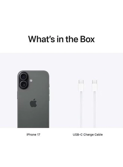 Apple iPhone 17 256GB Black 5G (eSim only) With FaceTime - International Version-2