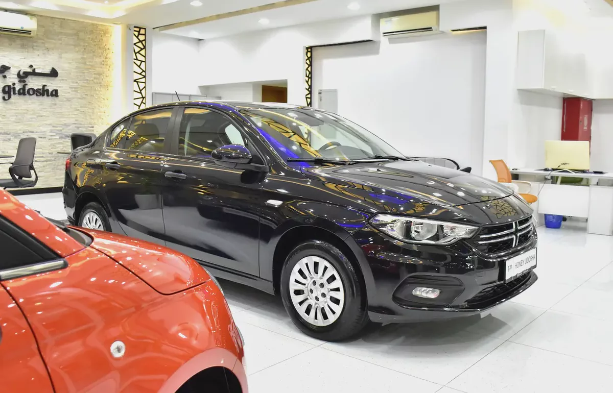 EXCELLENT DEAL for our Dodge Neon ( 2017 Model ) in Black Color GCC Specs-2-2