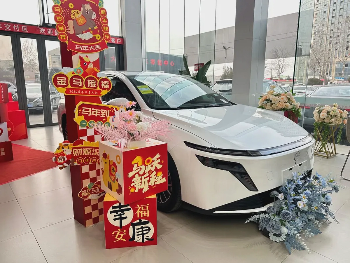 Nissan N6 180 Max 2026 Chinese Specs - Brand New EV Sedan-2-2