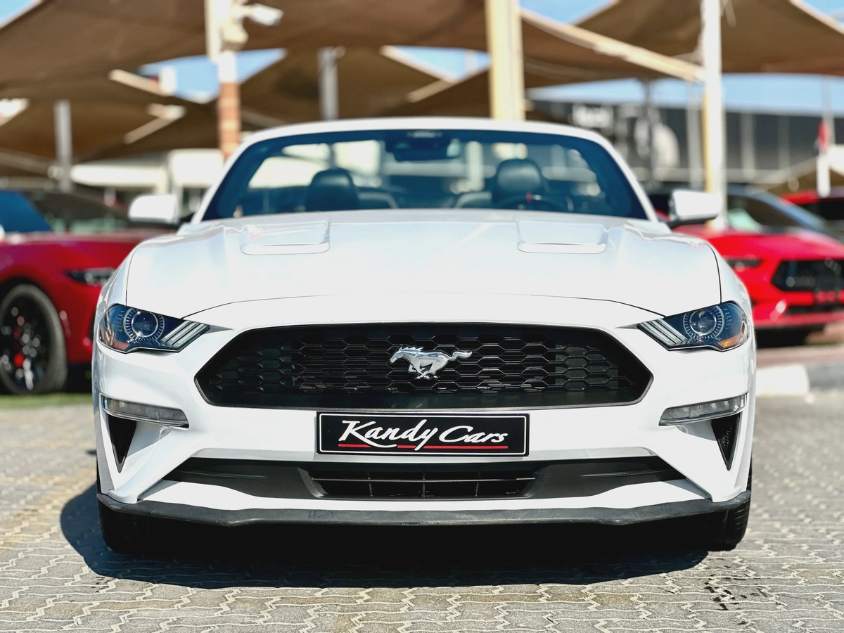2022 Ford Mustang Ecoboost Convertible - 05660-11-11