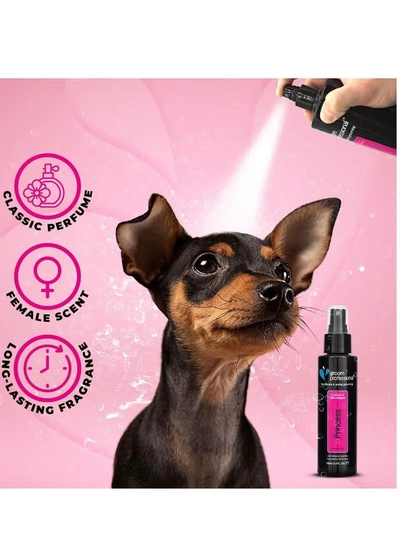 Groom Professional Princess Dog Perfume - Dog Perfume Spray - Fresh Fragrance Spray for Dogs Against Odour - Dog Perfume for Female Dogs - Contains Chamomile Extracts to Soothe Skin, 100 ml-2