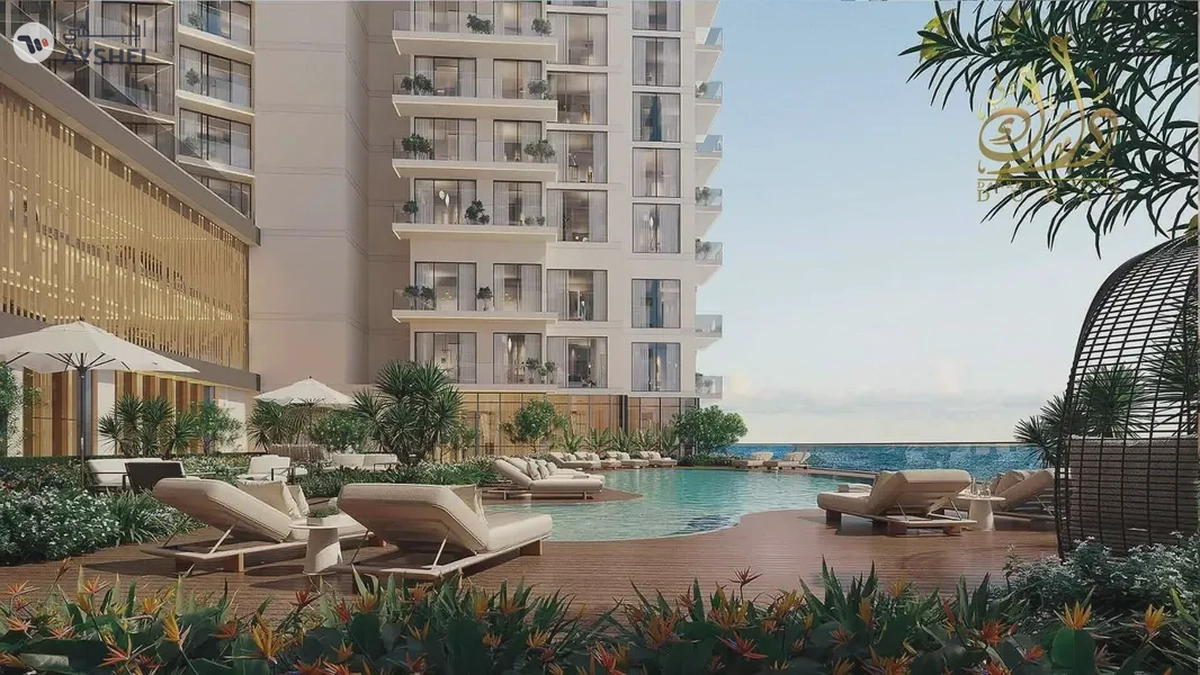 Limited Studios | Playa Viva Opportunity