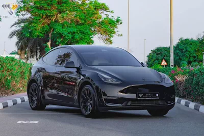 Tesla Model Y performance 2024 GCC Under Warranty From Agency-2