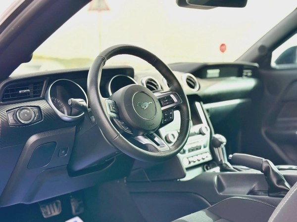 2022 Ford Mustang Ecoboost - # 38688