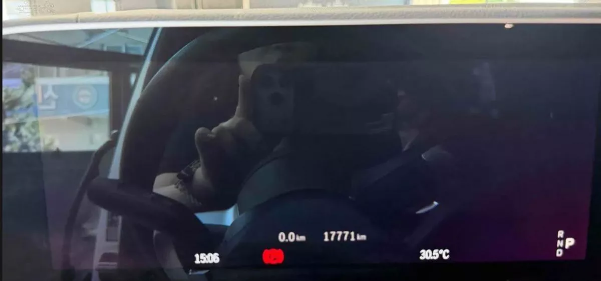 Mercedes Benz GLS580 4MATIC Perfect condition-8-0