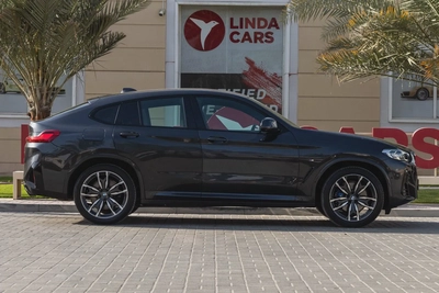 BMW X4 30-13