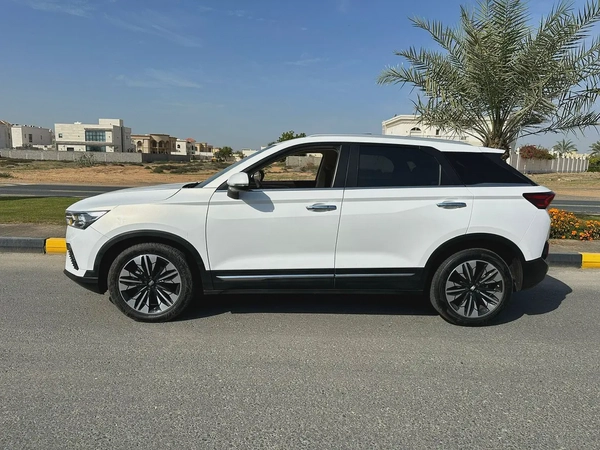 BESTUNE 2024 Very nice clean car